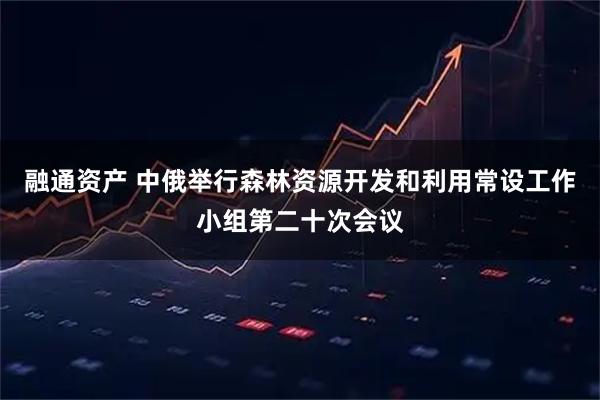 融通资产 中俄举行森林资源开发和利用常设工作小组第二十次会议
