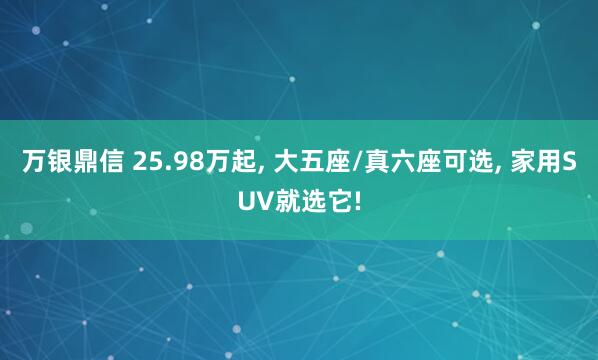 万银鼎信 25.98万起, 大五座/真六座可选, 家用SUV就选它!